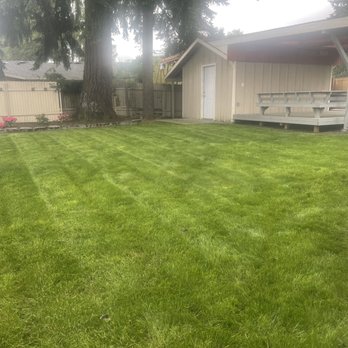 Hawks Landscaping - a backyard with a lawn and shed - Lawn Services Near Me Hawks Landscaping - a backyard with a lawn and shed - Lawn Services Near Me