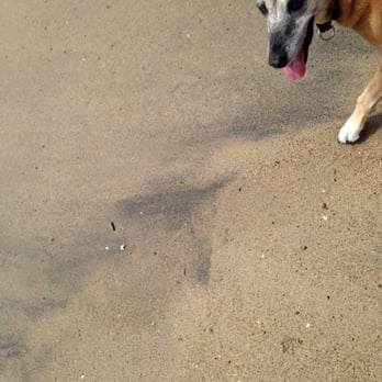 Mugu Beach - Dogs have fun here too! @ Point Mugu State Park Mugu Beach - 9/14/15 - Beaches Near Me - Malibu, California Mugu Beach - Dogs have fun here too! @ Point Mugu State Park Mugu Beach - 9/14/15 - Beaches Near Me - Malibu, California
