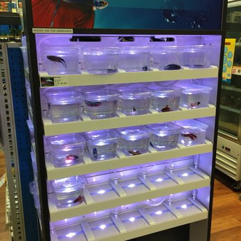Pet Supermarket - Pet Stores Near Me - North Miami, Florida Pet Supermarket - Pet Stores Near Me - North Miami, Florida