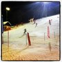 Photo of Hohe Wand Wiese