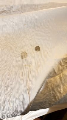 Tropicana Laughlin - A Caesars Rewards Destination by null