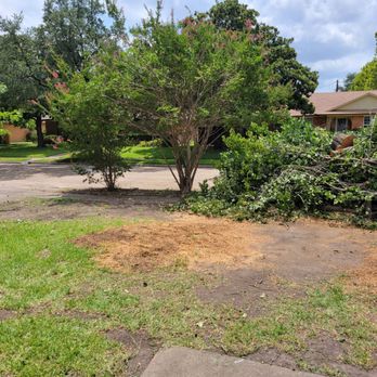 Hernandez Tree Experts - Tree Services Near Me
