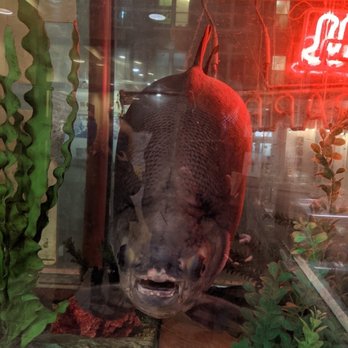 Kau Kau Barbeque - Pacu? - Barbeque Near Me - Seattle, Washington