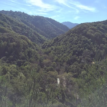 Tony Look Trail - Hiking Near Me - Cupertino, California