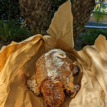 Tommy and Atticus - Almond croissant - Bakeries Near Me - Redondo Beach, California Tommy and Atticus - Almond croissant - Bakeries Near Me - Redondo Beach, California