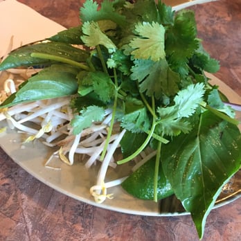 Pho Saigon - Fresh herbs for my pho. - Vietnamese Near Me - Katy, Texas Pho Saigon - Fresh herbs for my pho. - Vietnamese Near Me - Katy, Texas