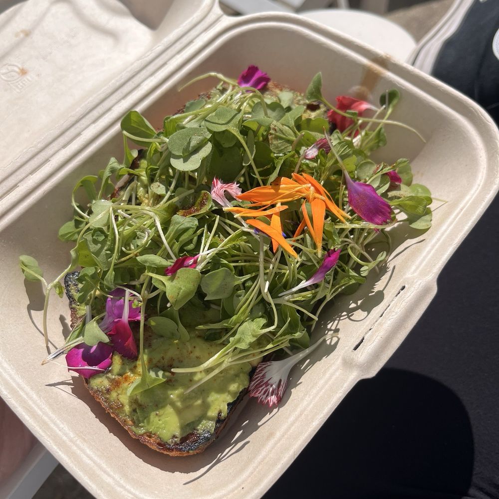 Toast with avocado & sprouts
