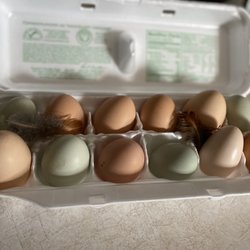 Poultry Supply Store - Eggs from chickens sold by Rob! So colorful and delish