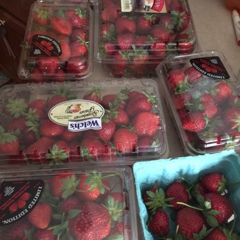 Buckwheat Farm - Want to know how you can reuse those plastic containers where your store bought strawberries came from? This is a good use! - Fruits & Veggies Near Me - Apex, North Carolina Buckwheat Farm - Want to know how you can reuse those plastic containers where your store bought strawberries came from? This is a good use! - Fruits & Veggies Near Me - Apex, North Carolina