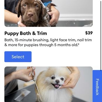 PetSmart - "Through 5 months" stated in two of the four spots from their website. - Pet Stores Near Me - Virginia Beach, Virginia