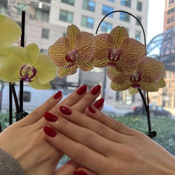 Bilancia Nail Spa - No Chip Mani - Nail Salons Near Me - Chicago, Illinois Bilancia Nail Spa - No Chip Mani - Nail Salons Near Me - Chicago, Illinois
