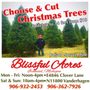 Photo of Blissful Acres Tree Farm