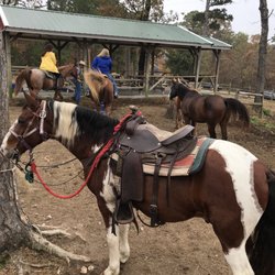 Bear Mountain Stables - Great morning ride!
