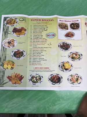 Menu photo 3 China Wok Cape Coral, FL