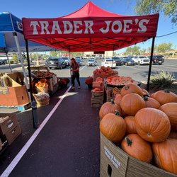 Trader Joe's - The pumpkin patch