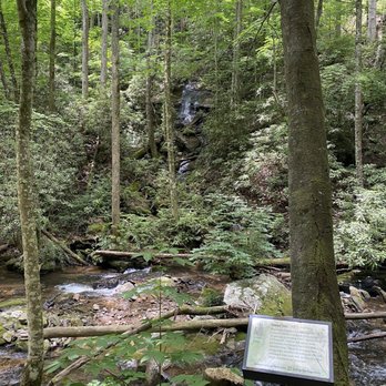 Anna Ruby Falls - Within the trail - Hiking Near Me - White, Georgia