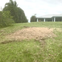 Oddie’s Landscaping Management