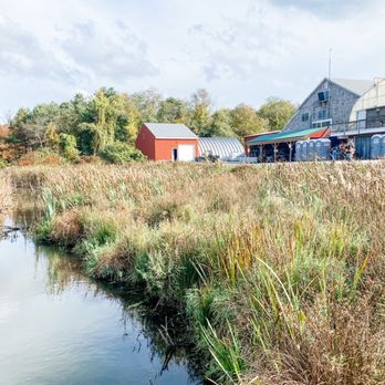 Cider Hill Farm - Pick Your Own Farms Near Me - Amesbury, Massachusetts