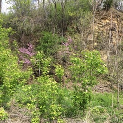 Sinnissippi Park and Hopewillian Indian Mounds - Bike trail off the lagoon.