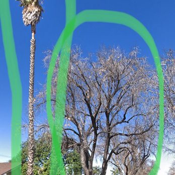 Rancho Tree Care - Tree Services Near Me Rancho Tree Care - Tree Services Near Me