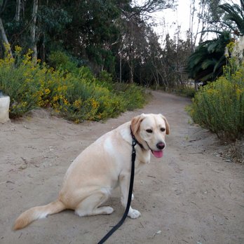 Batiquitos Lagoon Foundation - Great for walking with your dog - Community Service/Non-Profit Near Me - Carlsbad, California Batiquitos Lagoon Foundation - Great for walking with your dog - Community Service/Non-Profit Near Me - Carlsbad, California