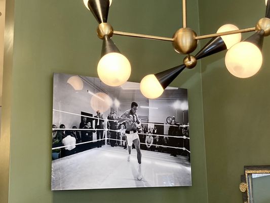 Jonathan Adler by null