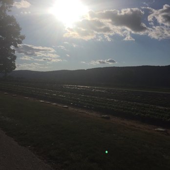 Donaldson Farms - Fruits & Veggies Near Me - Hackettstown, New Jersey Donaldson Farms - Fruits & Veggies Near Me - Hackettstown, New Jersey