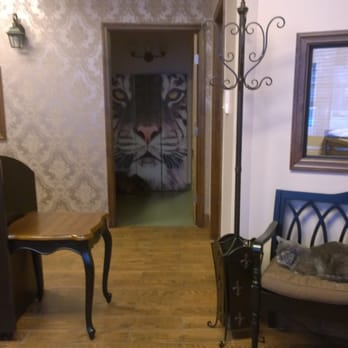 The Cat Practice - Our beautiful reception - Veterinarians Near Me - New York, New York The Cat Practice - Our beautiful reception - Veterinarians Near Me - New York, New York