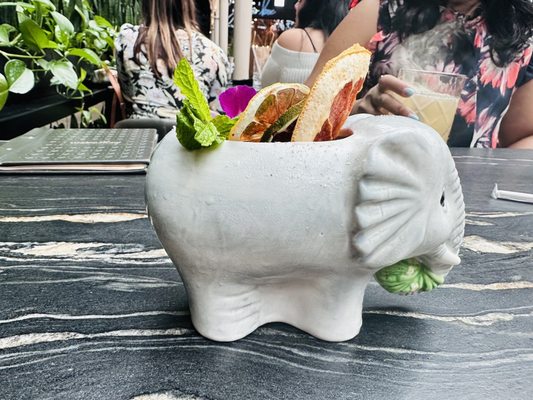 Understory Bar by null