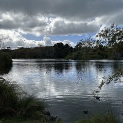Western Springs Park