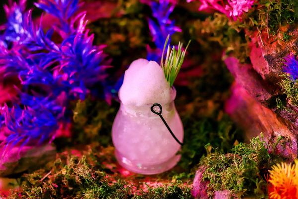 36 Below by null