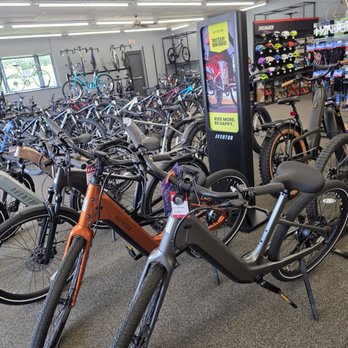 Cardinal Bicycle - The very popular Electric bikes. - Bikes Near Me - Roanoke, Virginia