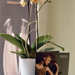 Elite Salon - Ihr Luxus Friseur in Willich