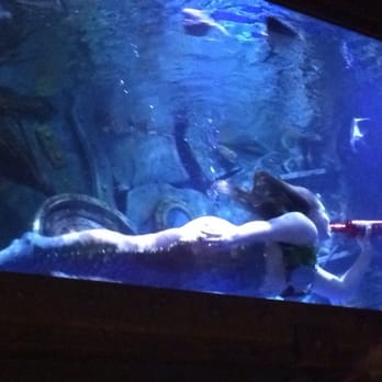Dive Bar - Mermaid pretending to drink a bottle as she swims! - Dive Bars Near Me - Sacramento, California Dive Bar - Mermaid pretending to drink a bottle as she swims! - Dive Bars Near Me - Sacramento, California