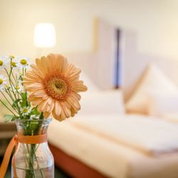 Landhotel Heimathenhof**** - Zimmerbeispiel