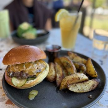 Parakeet Cafe - Carlsbad - Best Burger Ever - Coffee & Tea Near Me - Carlsbad, California Parakeet Cafe - Carlsbad - Best Burger Ever - Coffee & Tea Near Me - Carlsbad, California