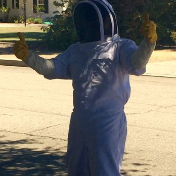 Beecasso Bee Removal - Sweet bee outfit. Thanks for being such a good sport! - Pest Control Near Me - Redondo Beach, California Beecasso Bee Removal - Sweet bee outfit. Thanks for being such a good sport! - Pest Control Near Me - Redondo Beach, California