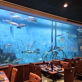 RumFish Grill and Sports Bar - Seafood Near Me - St Pete Beach, Florida