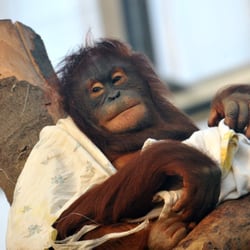 Zoo Rostock - Zeit für Gemütlichkeit