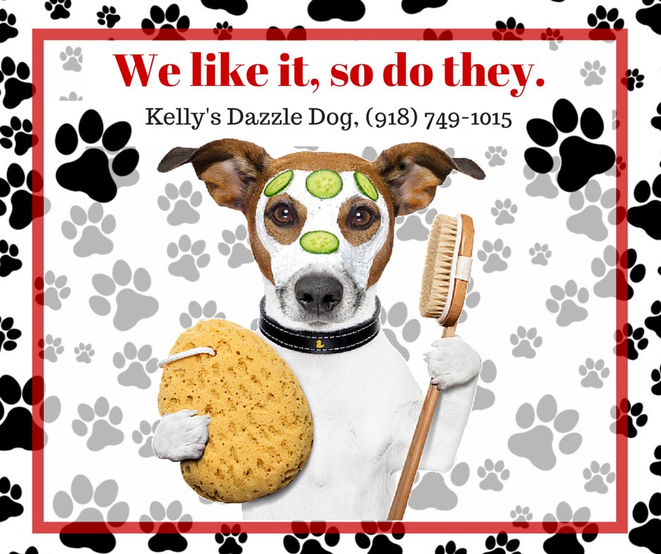 DAZZLE DOG GROOMING SPA Updated September 2024 12 Photos & 35
