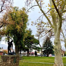 Robinson Park - Large trees create plenty of shade.