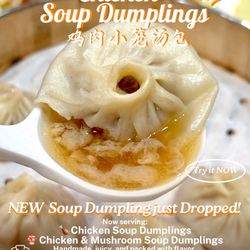 Loves Dumpling House 梁妈妈手工水饺 - Chicken soup dumplings NEW