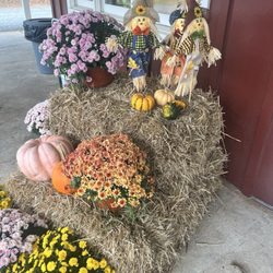 Springs Farm Market