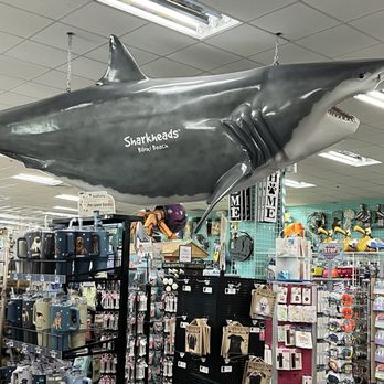Sharkheads - Shark - Souvenir Shops Near Me - Biloxi, Mississippi Sharkheads - Shark - Souvenir Shops Near Me - Biloxi, Mississippi