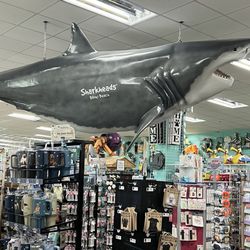 Shark