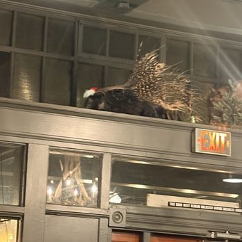Buckhorn Steakhouse - Porcupine taxidermy - Steakhouses Near Me - Winters, California