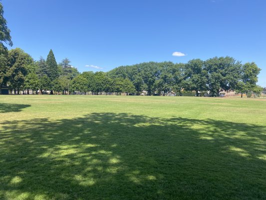 Glenwood Park by null