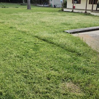 Cornett's Lawncare - a fire hydrant in the grass - Lawn Services Near Me - West Monroe, Louisiana