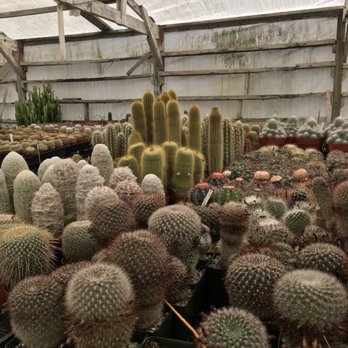 Rancho Vista Cacti & Succulent - Nurseries & Gardening Near Me - Vista, California Rancho Vista Cacti & Succulent - Nurseries & Gardening Near Me - Vista, California