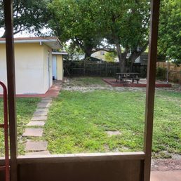 Back yard